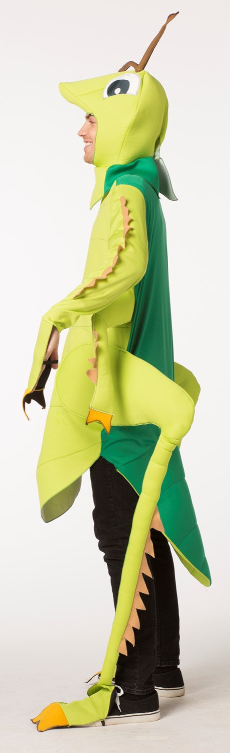 Rasta Imposta Green Grasshopper Kostüm Einheitsgröße