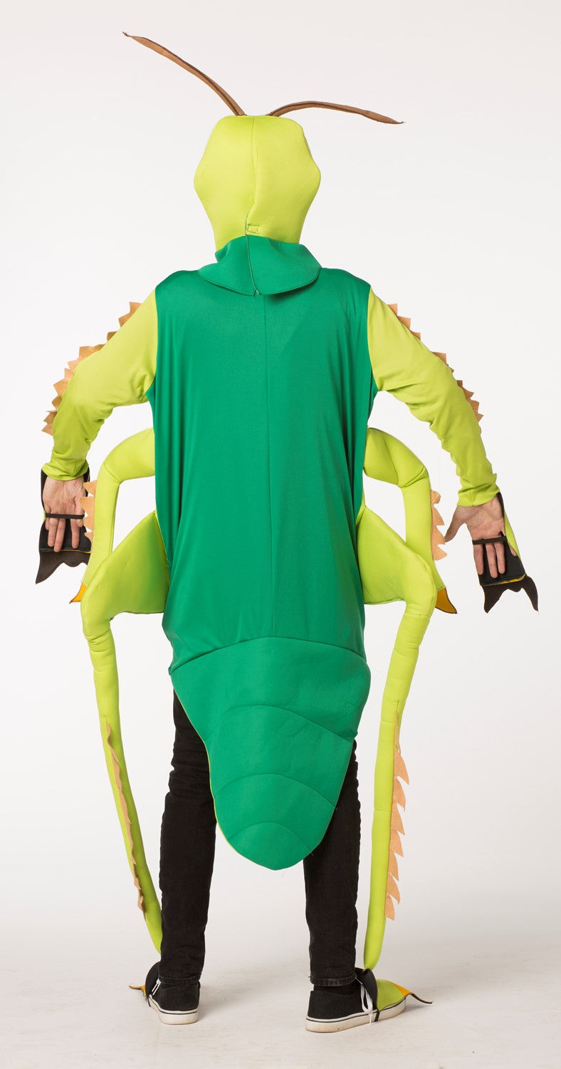 Rasta Imposta Green Grasshopper Kostüm Einheitsgröße