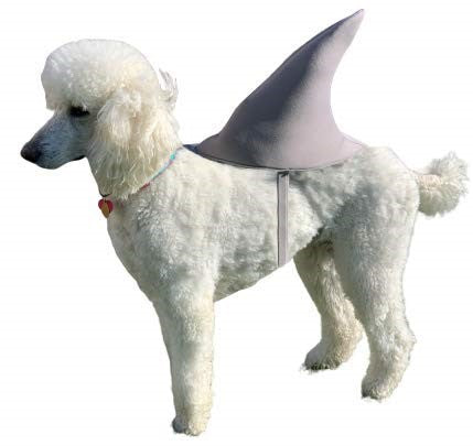 Rasta Imposta Great White Shark Fin Hundekostüm XL