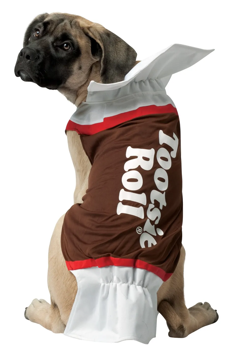 Rasta Imposta Tootsie Roll Hundekostüm Größe L Tunika