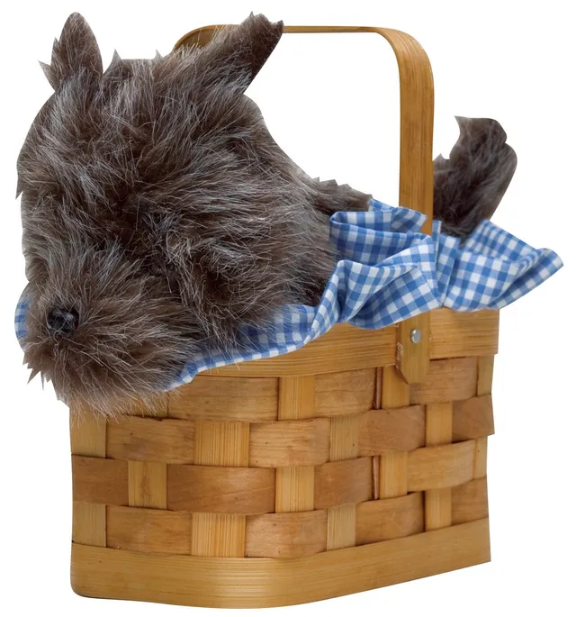 Rasta Imposta Doggie Basket Korb Tasche Accessoire