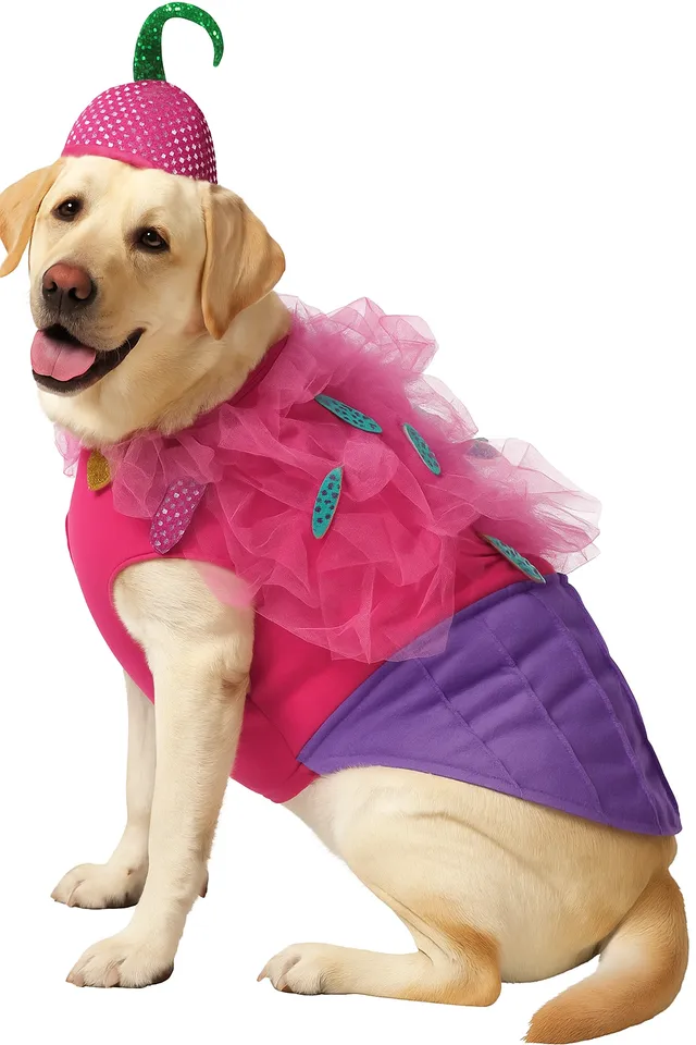 Rasta Imposta Cupcake Hundekostüm XXXL mit Kirschmütze