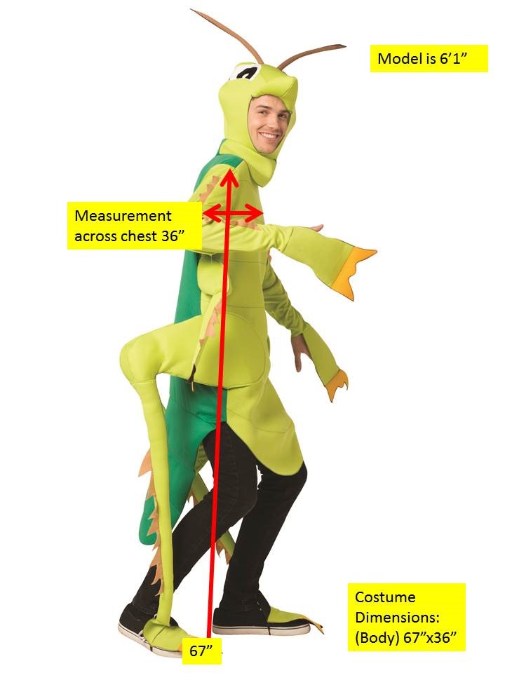 Rasta Imposta Green Grasshopper Kostüm Einheitsgröße