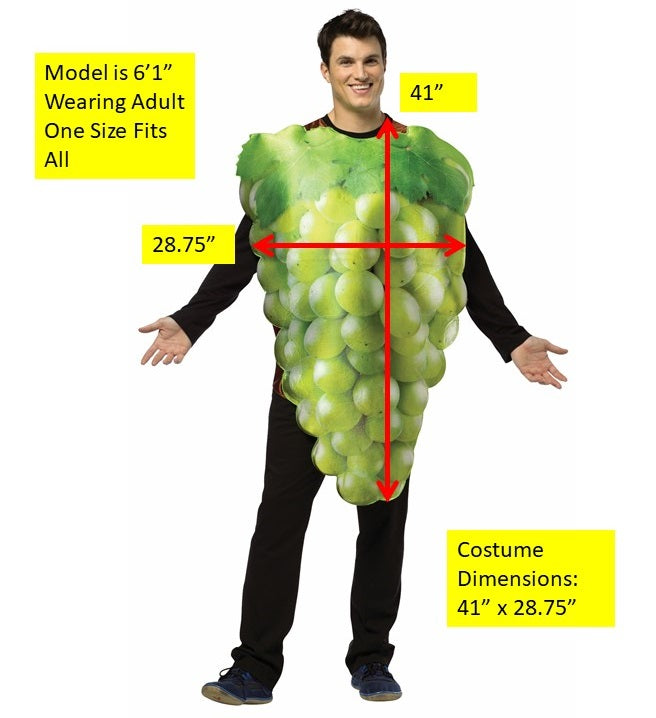 Rasta Imposta Green Grapes Kostüm Tunika Einheitsgröße Obst