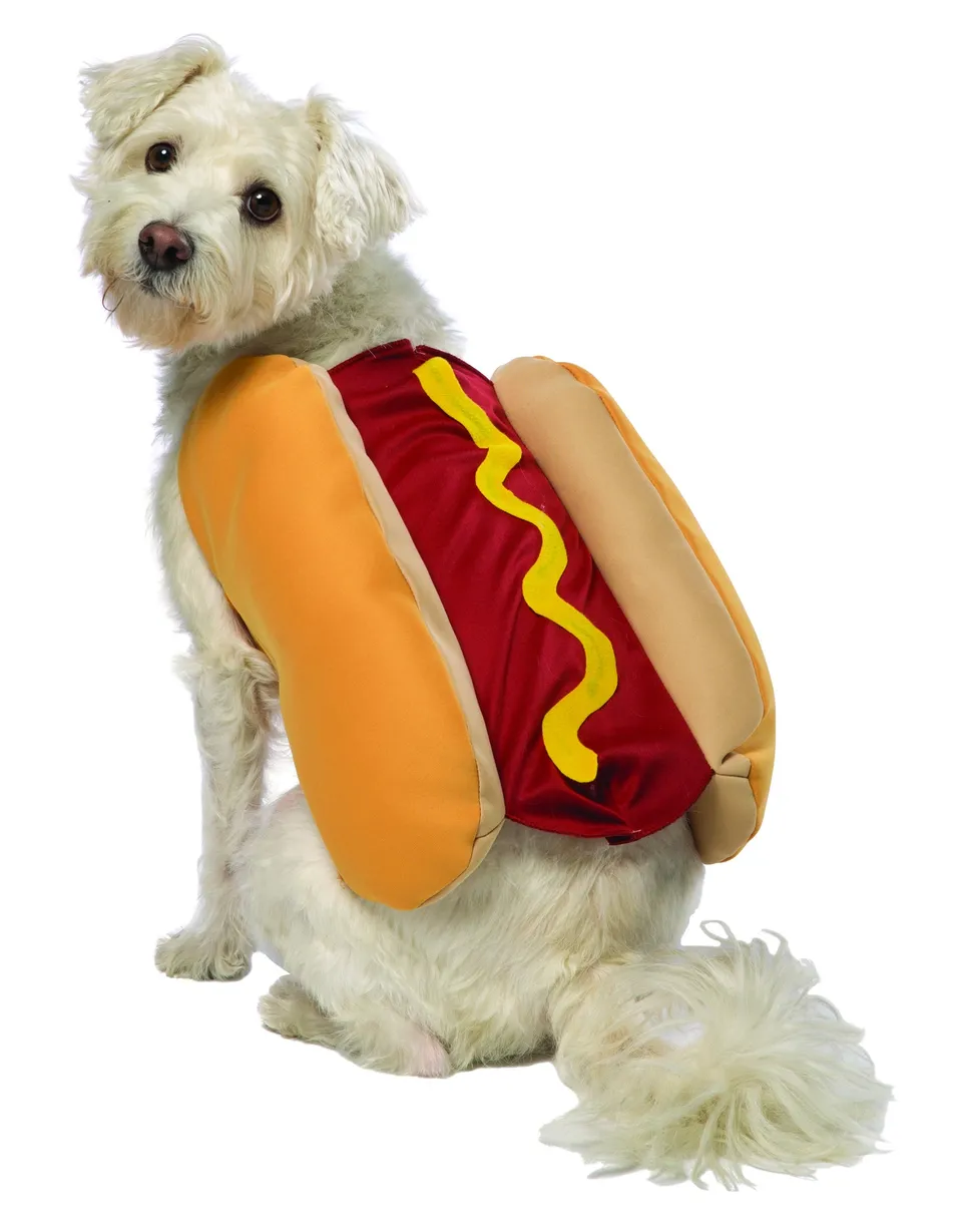 Rasta Imposta Hot Dog Hundekostüm Größe M-L Senf