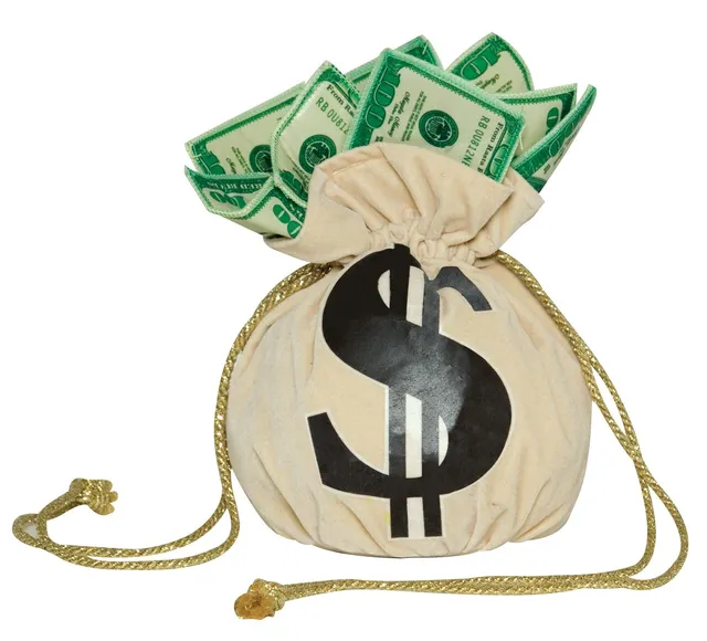 Rasta Imposta Purse Money Bag Geldsack Kostümbeutel Dollar