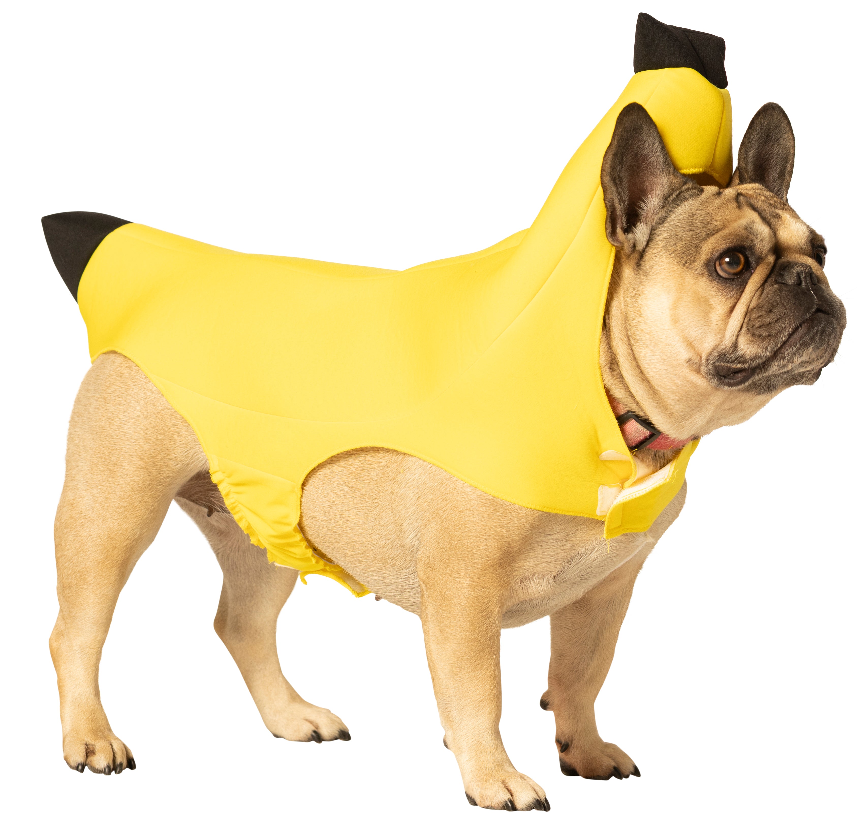 Rasta Imposta Banana Hundekostüm XS-3X Banane Gelb
