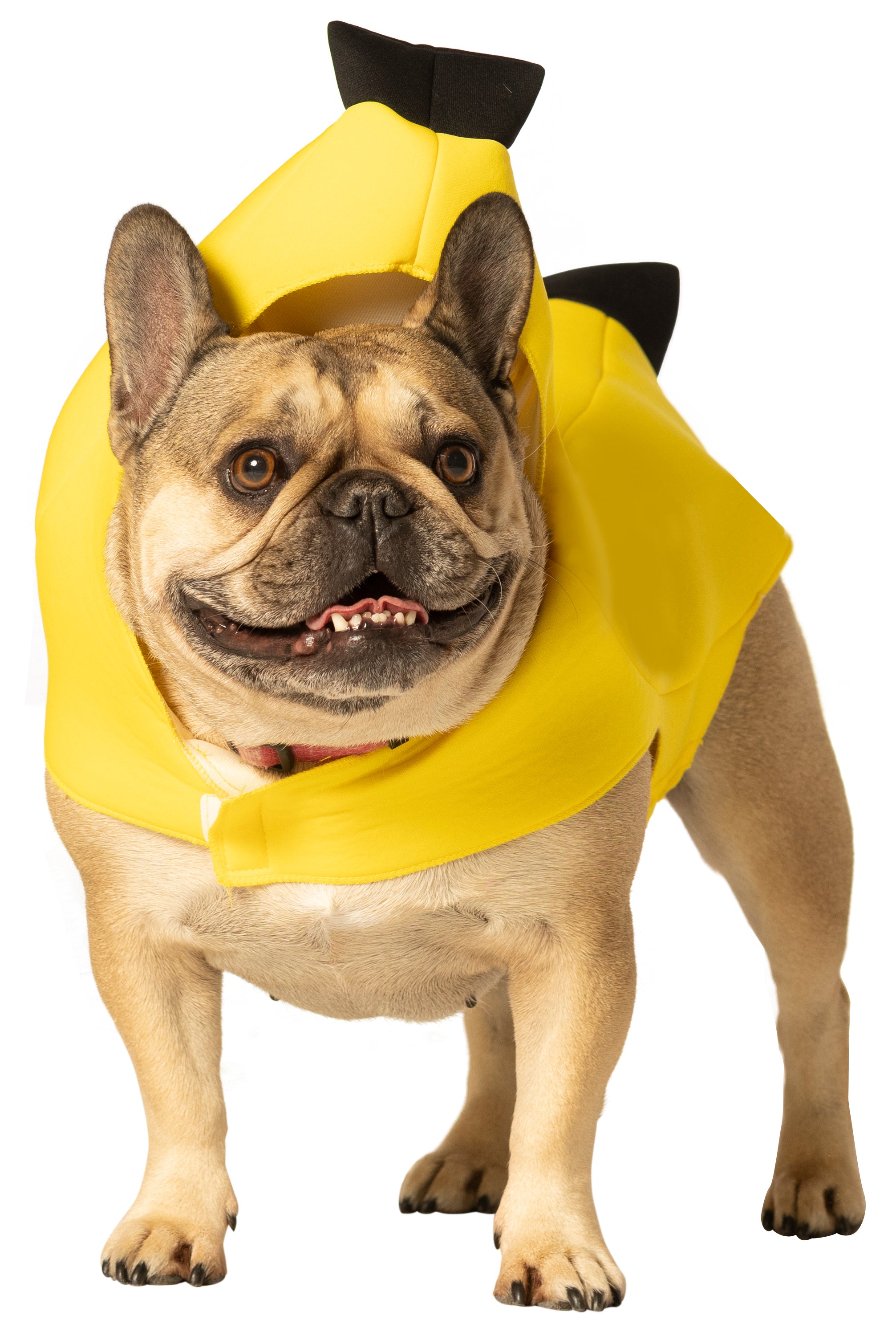 Rasta Imposta Banana Hundekostüm XS-3X Banane Gelb