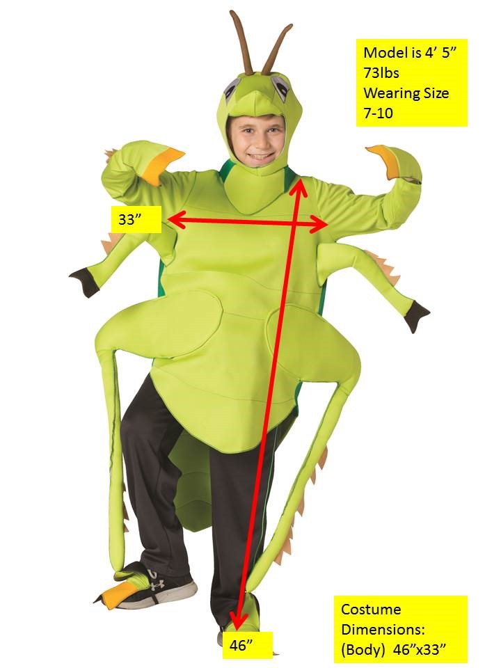 Rasta Imposta Grashüpfer Kinder Kostüm Grün 7-10