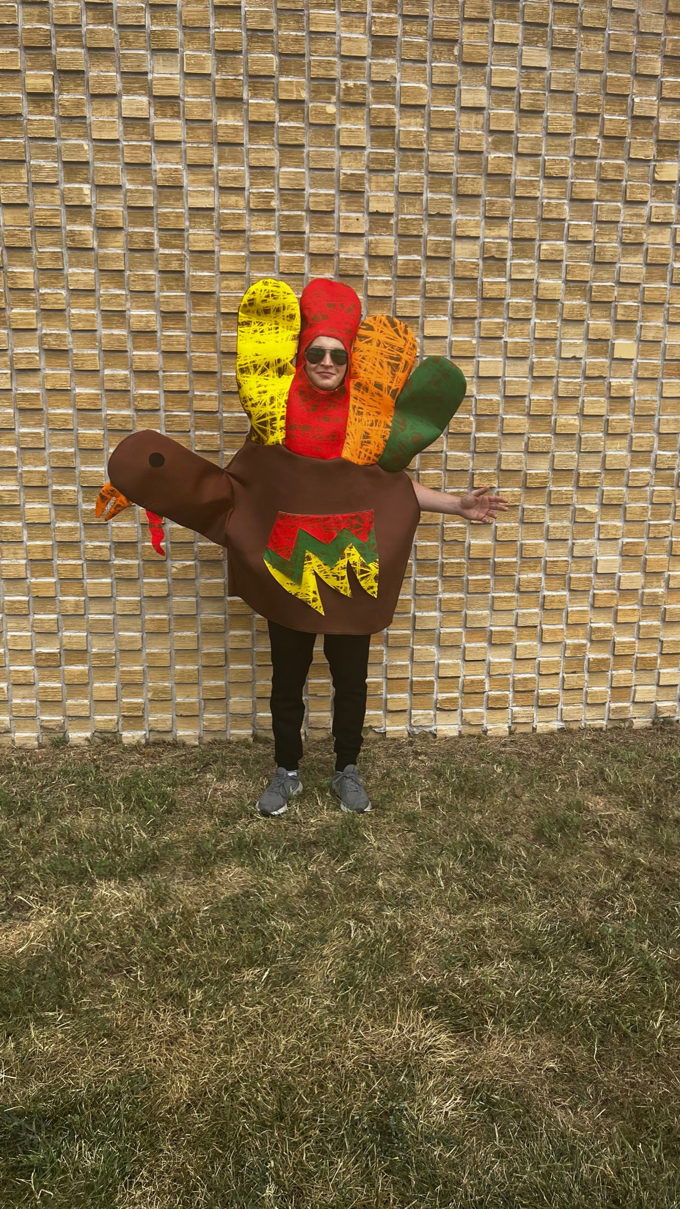 Rasta Imposta Hand Turkey Truthahn Kostüm Erwachsene