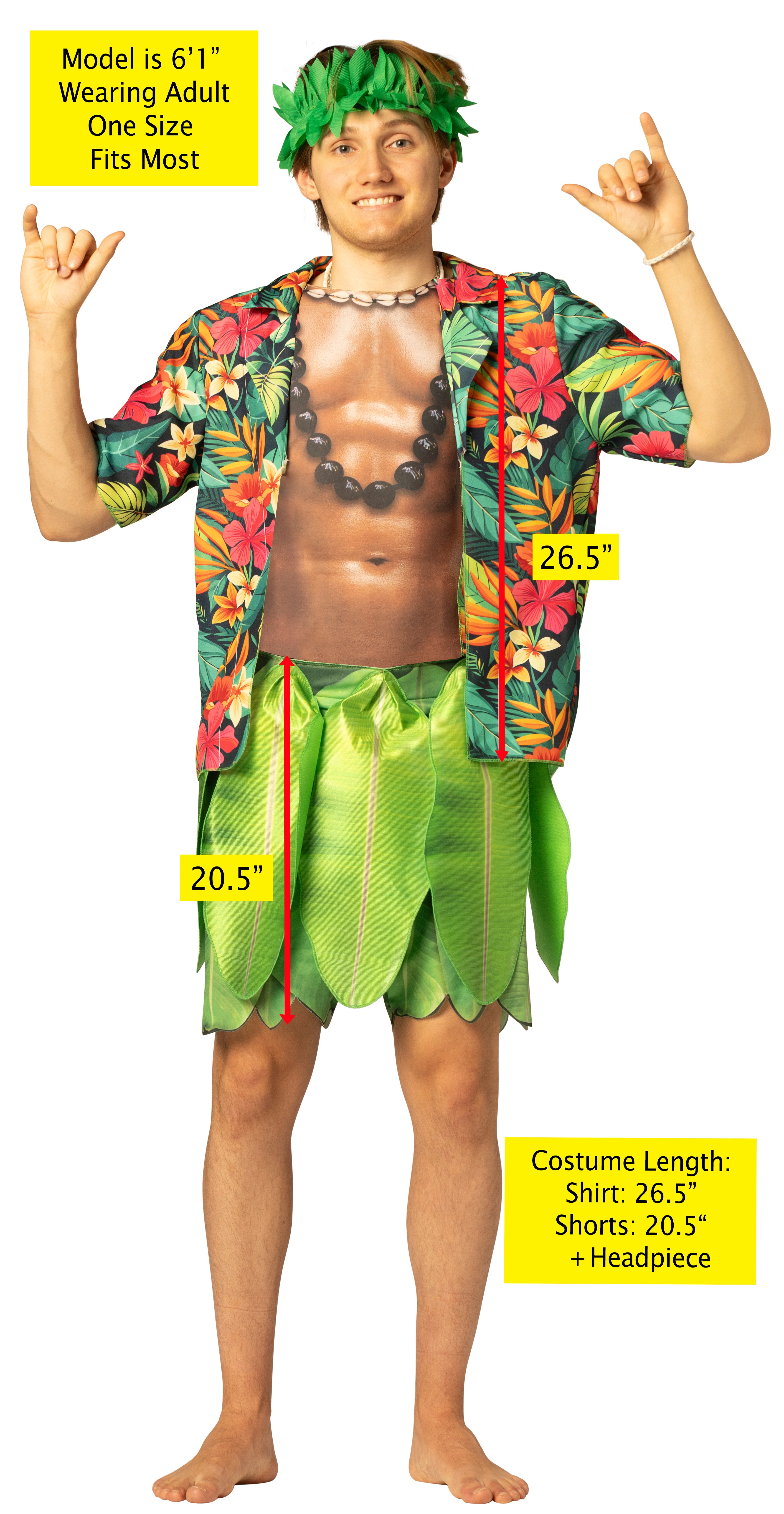 Rasta Imposta Hula Guy Hawaii Herrenkostüm One Size