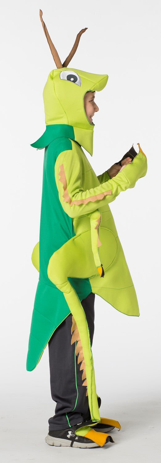 Rasta Imposta Grashüpfer Kinder Kostüm Grün 7-10