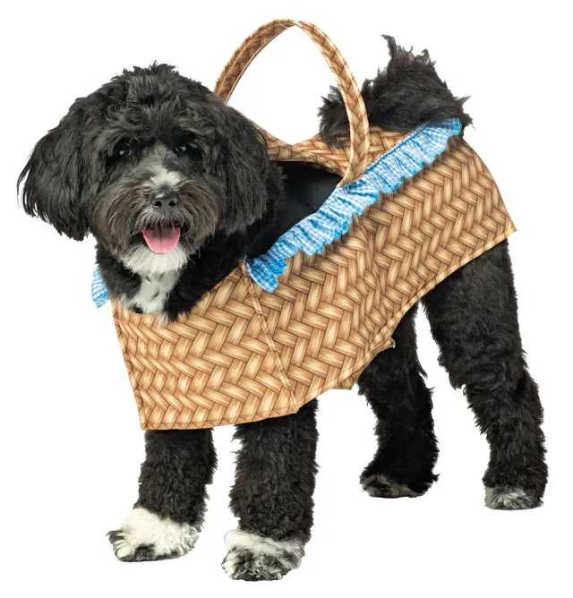 Rasta Imposta Doggie Basket Hundekostüm Korb Alle Größe