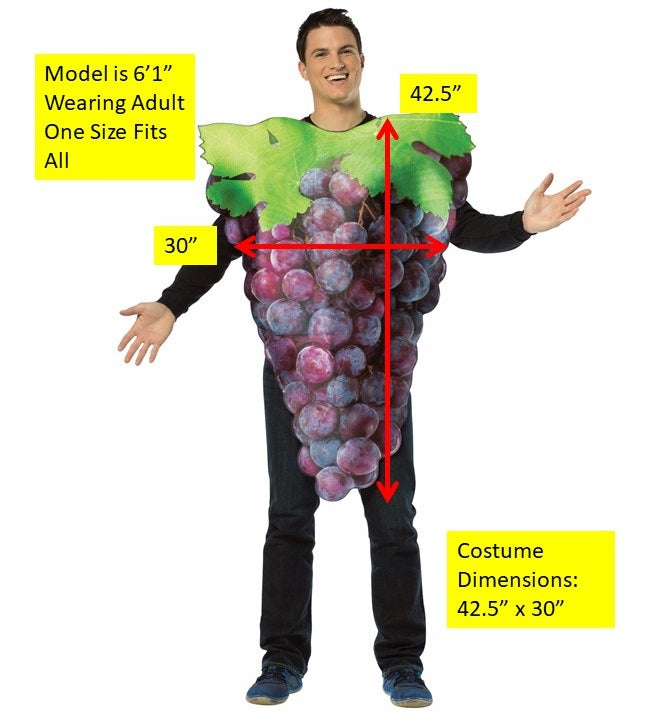 Rasta Imposta Grapes Erwachsenenkostüm Trauben Einheitsgröße