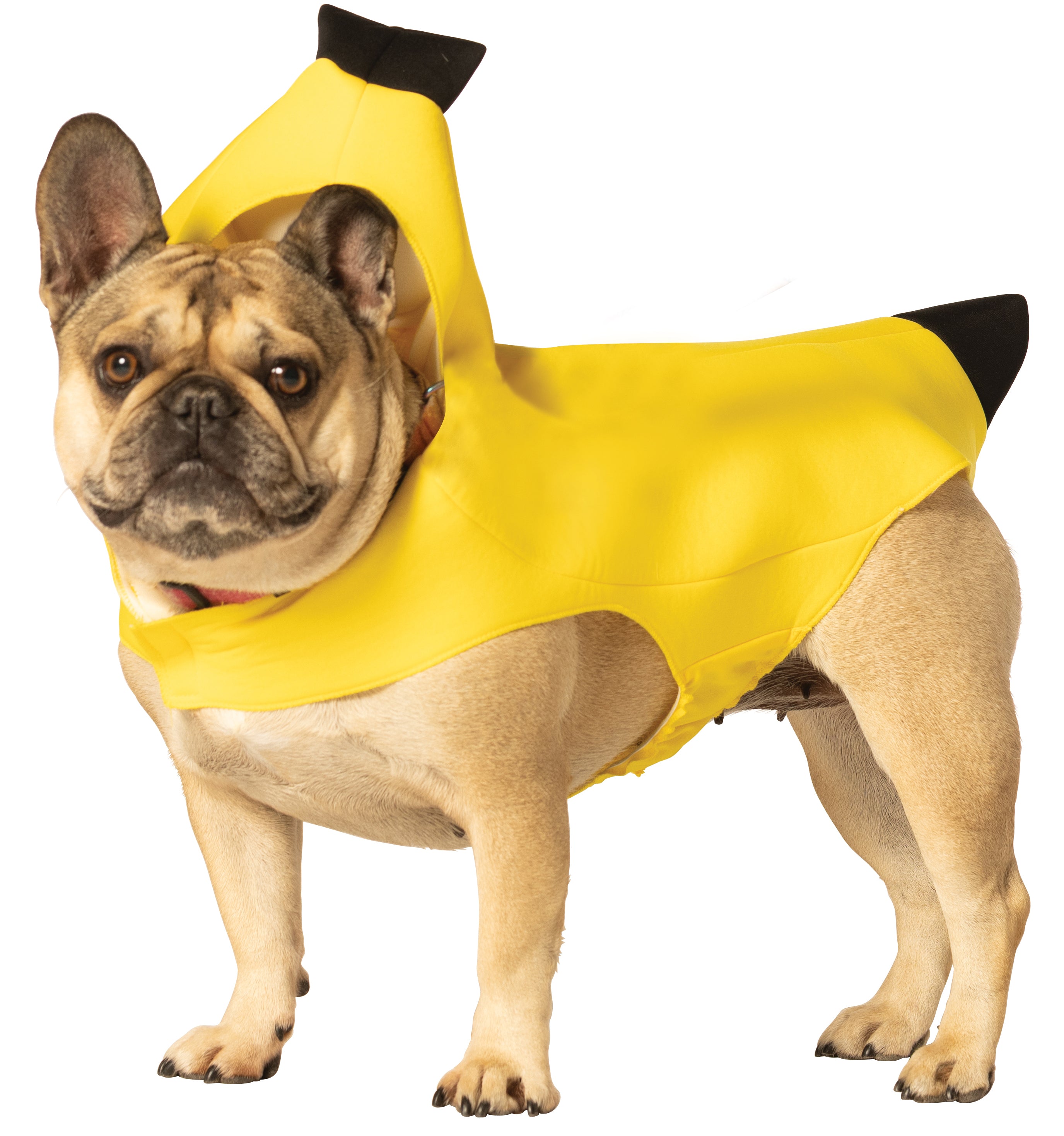 Rasta Imposta Banana Hundekostüm XS-3X Banane Gelb